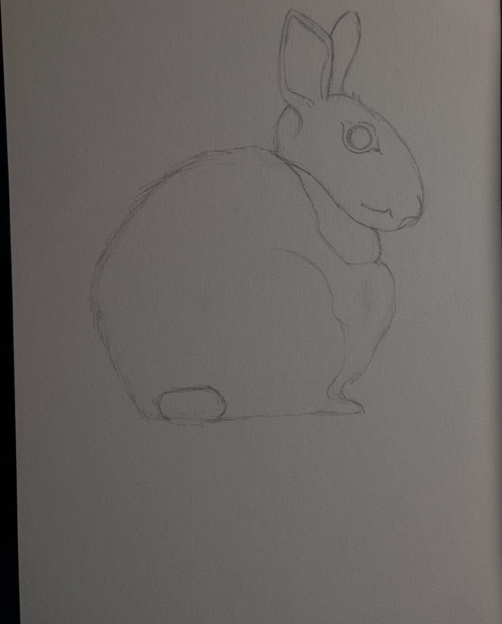 CyberHare bio-mechanical illustration in progress